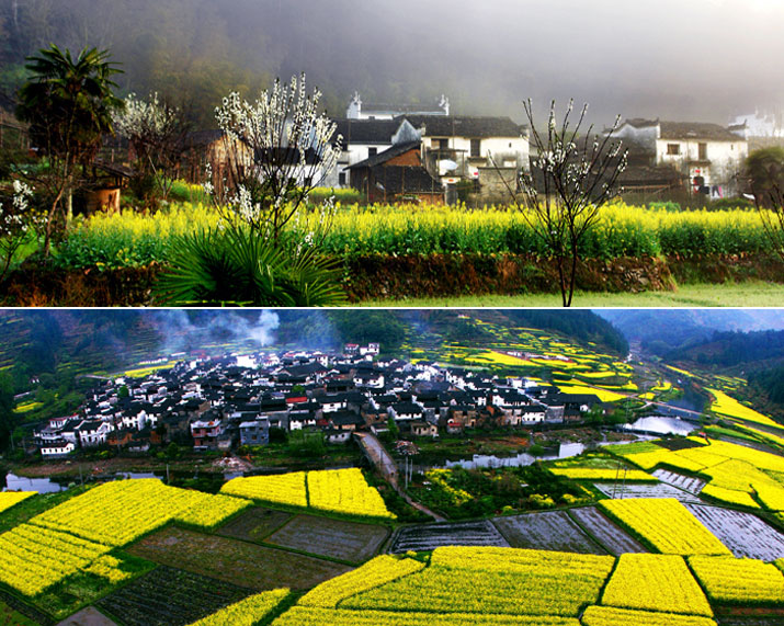 英国议会将投票表决是否支持空袭叙境内IS武装“三亿体育手机版”(图2) 三亿体育