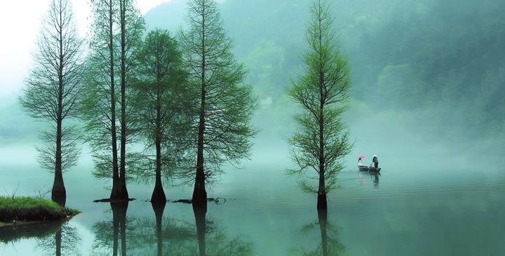 农业部通报第二批种子违法案件-三亿体育手机版(图2) 三亿体育