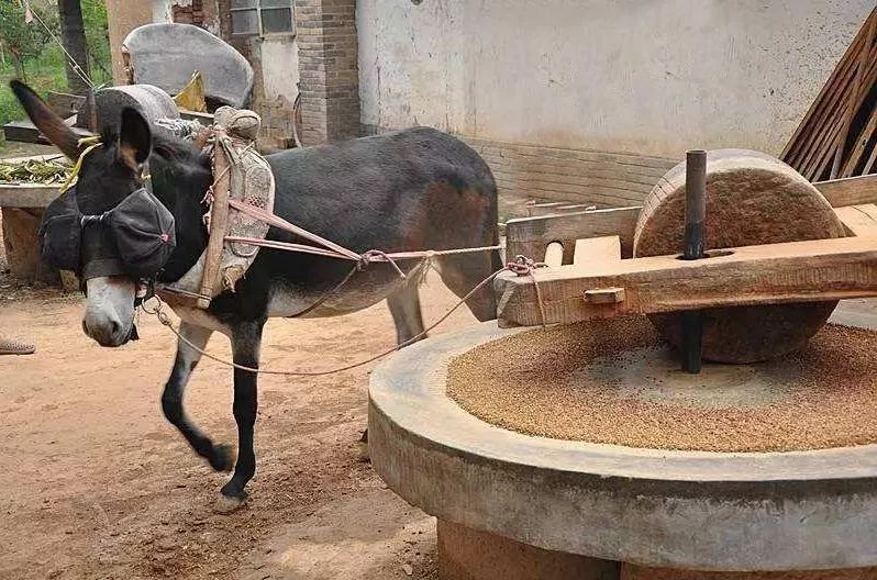 三亿体育手机版：为了公路安全 意大利站街妓女被要求穿反光夹克