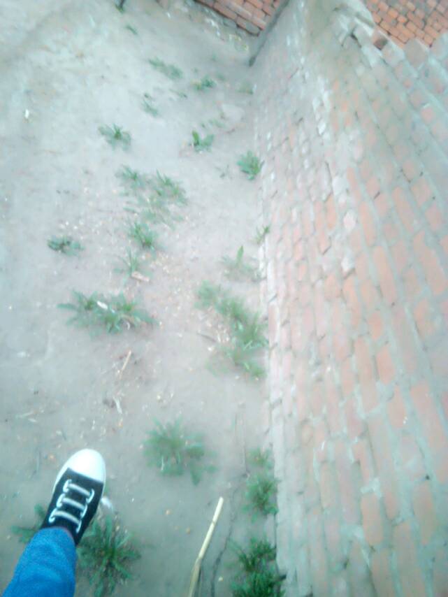 三亿体育手机版