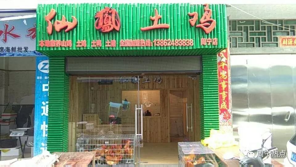 三亿体育手机版_橙子价格多少钱一斤？橙子的种植技术有哪些？