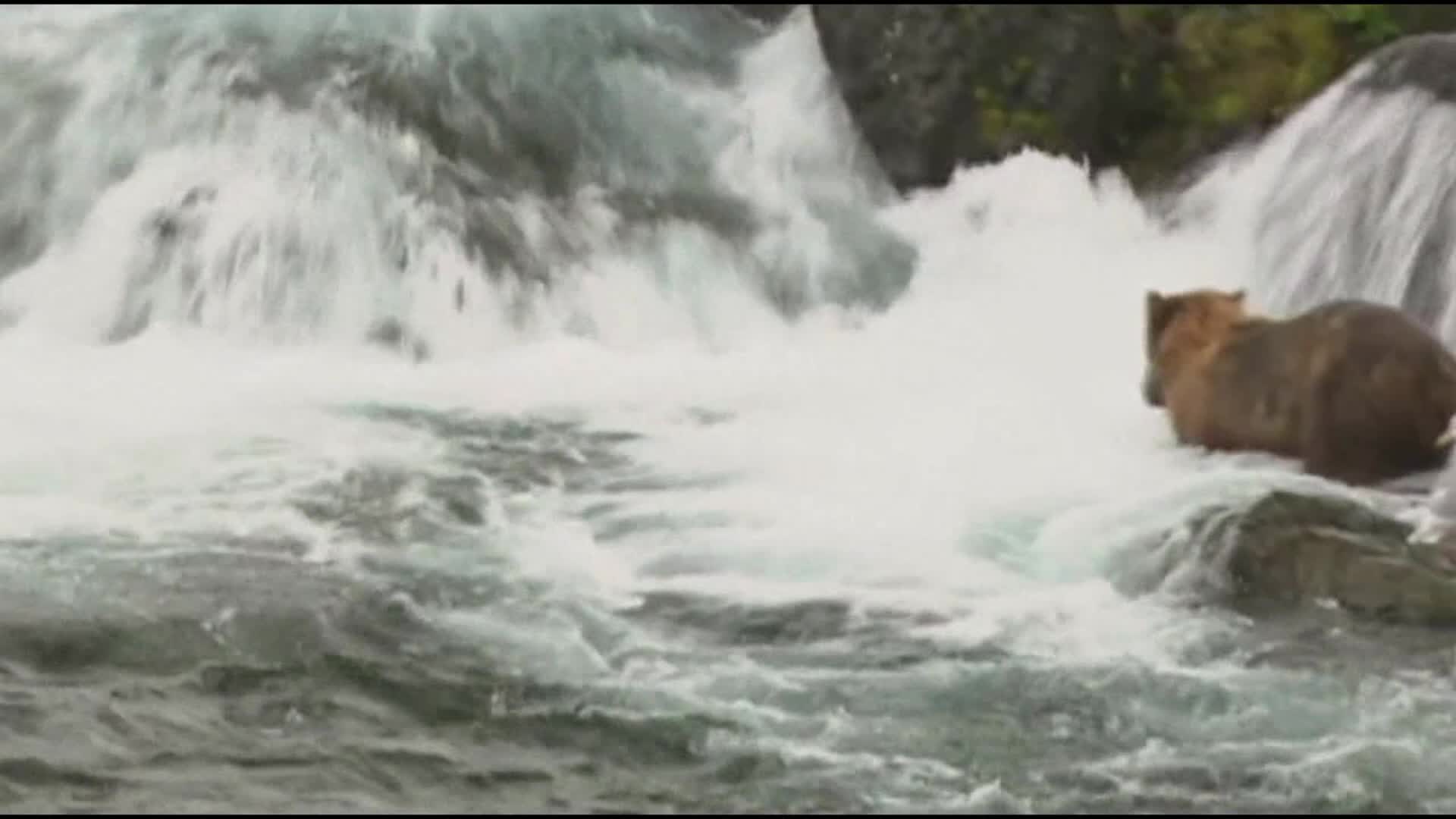 三亿体育手机版