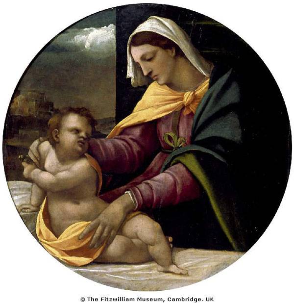 8月9日茄子主产区收购价格及行情分析【三亿体育手机版】