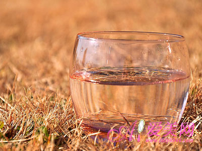 美媒称乌克兰派兵袭击亲俄武装失败 军队投降或撤退‘三亿体育官网’(图3) 三亿体育