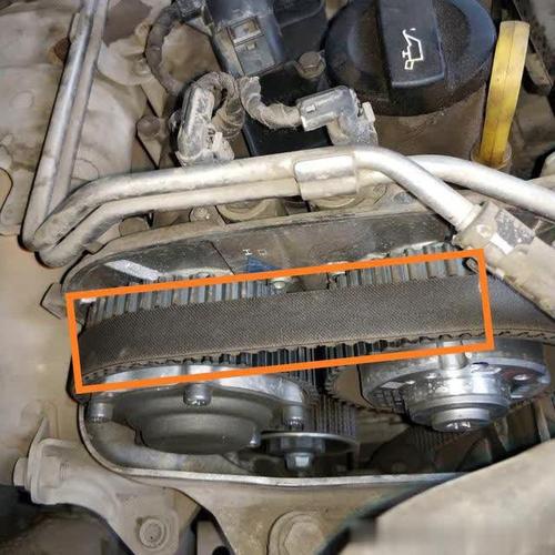 全球最丑狗比赛冠军出炉:双眼凸出、龅牙且毛发凌乱-三亿体育手机版(图4) 三亿体育手机版