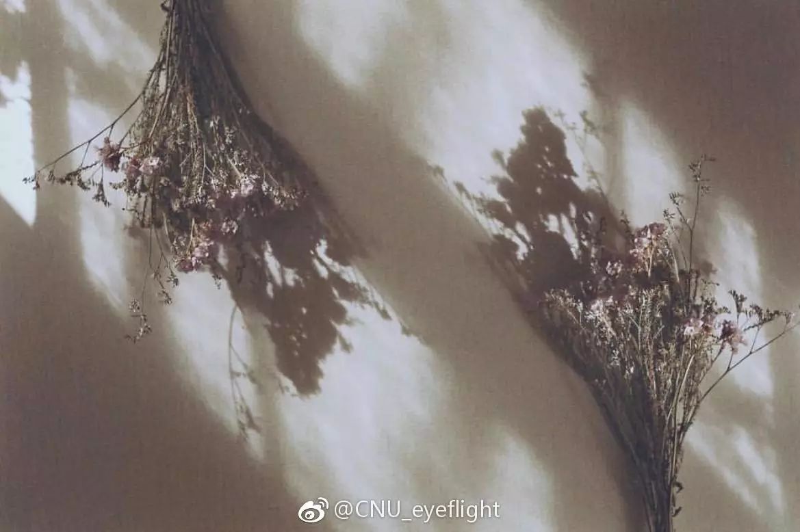 赞比亚血檀领涨，红木木材全线触底：三亿体育手机版