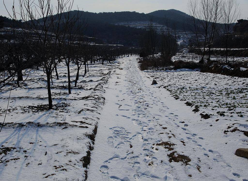 三亿体育官网-
拉尼娜来袭 今年冬天有多