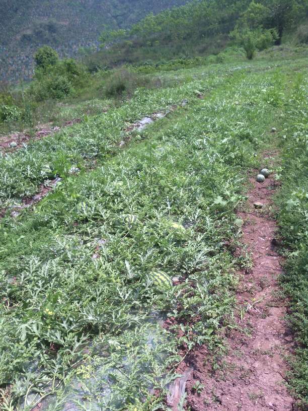 三亿体育官网：美国女议员新闻直播时疑吃鼻屎 引英媒做调查(图)