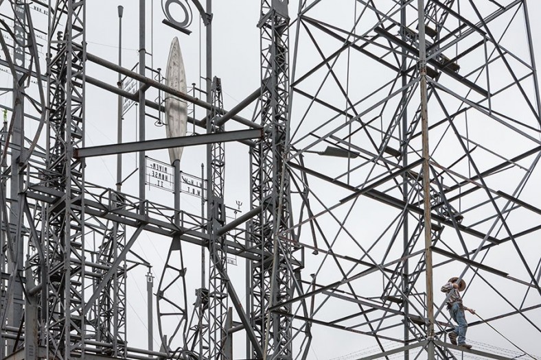 三亿体育|百合竹价格多少钱一株？都有哪些养殖要点？