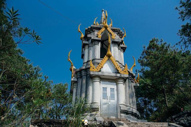 岳阳惊现“天价”辣椒每公斤520元|三亿体育手机版