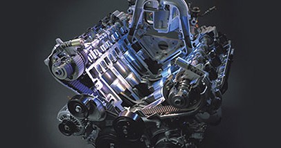 金乡大蒜行情如何?2017年11月13日金乡大蒜价格走势_三亿体育手机版(图2) 三亿体育