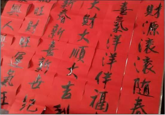 现在种冰菜赚不赚钱？冰菜种植前景及成本利