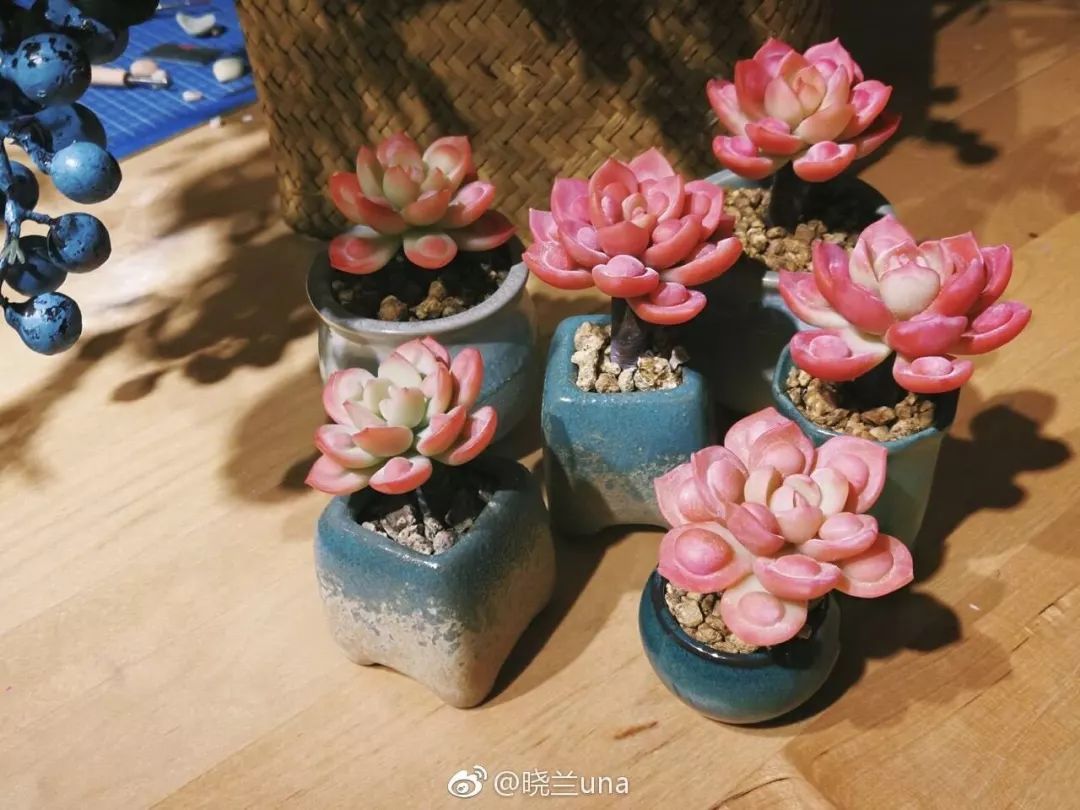 三亿体育_2015全球最佳影片完整榜单 《聂隐娘》夺得榜首(图)(图4) 三亿体育手机版