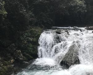 “三亿体育官网”黑客称美国NASA将公布发现外星人图 部分派飞船到地球