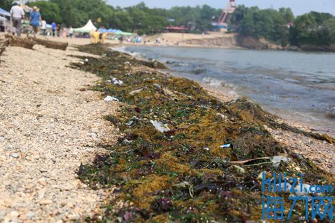 三亿体育-希腊多数民众对2016年经济前景悲观 今年经济零增长